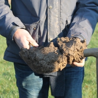 Bingerden grondmonster uit de graasweide