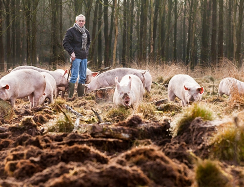 Jan Overesch, biologisch dynamisch akkerbouwer en varkenshouder uit Raalte