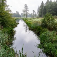 Landgoed Twickel