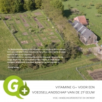 Vitamine G+ samenvatting