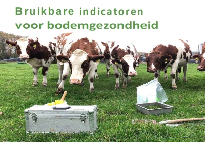 plaatje koeien en gereedschap