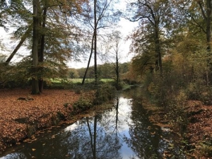 Baakse Beek
